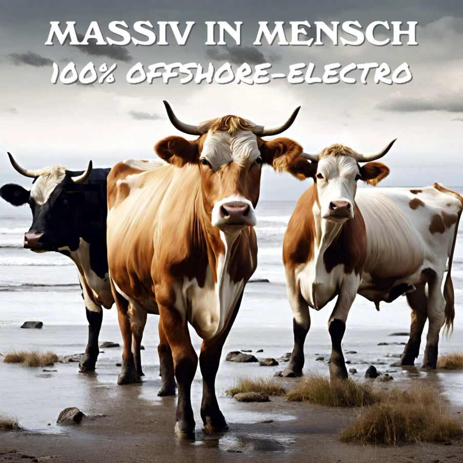 Massiv in Mensch - 100% Offshore Electro