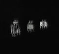 Liste Noire - Afire Afire EP