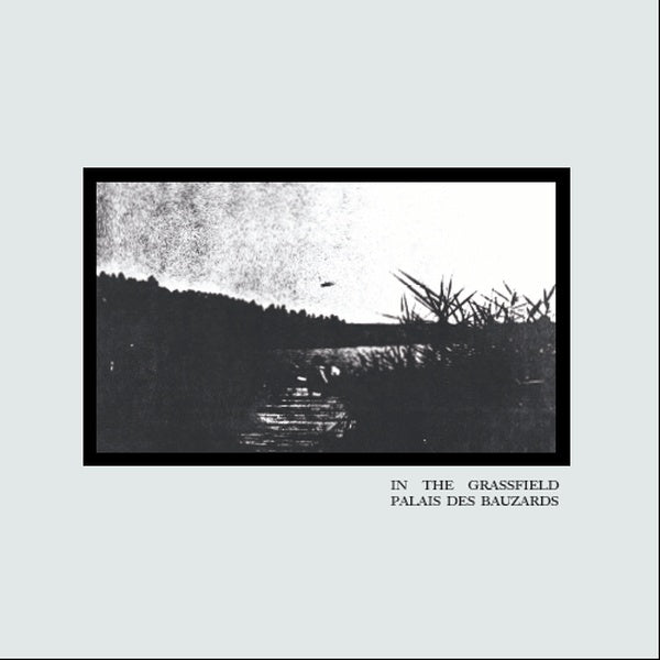 Palais Des Bauzards - In The Grassfield