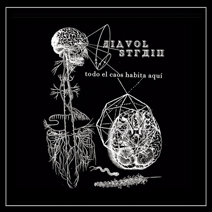 Diavol Strain - Todo el Caos Habita Aqui