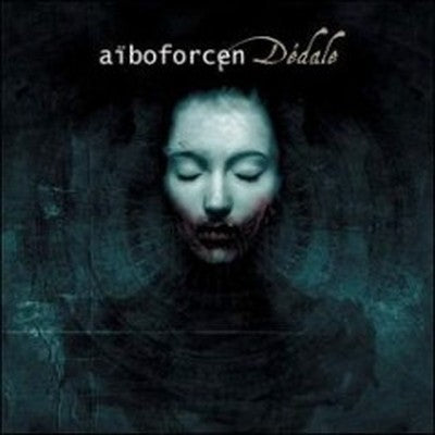 Aiboforcen - Labyrinth