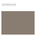Alva Noto feat. Martin L. Gore & William Basinski - Subterraneans