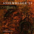 Assemblage 23 - Addendum