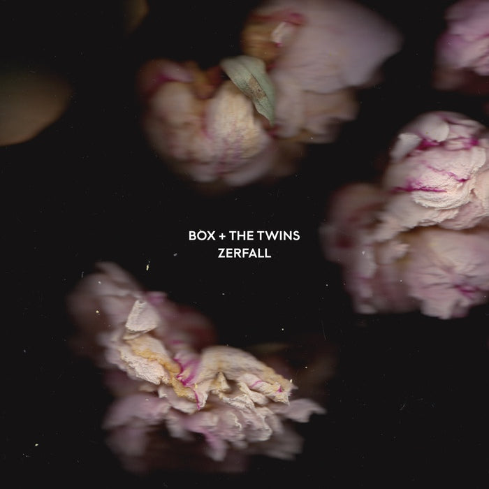 Box And The Twins - Decay
