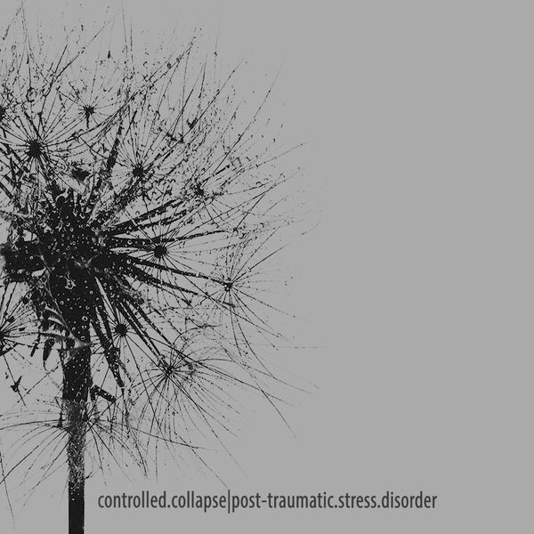 Controlled Collapse - Post-traumatic Stress Disorder