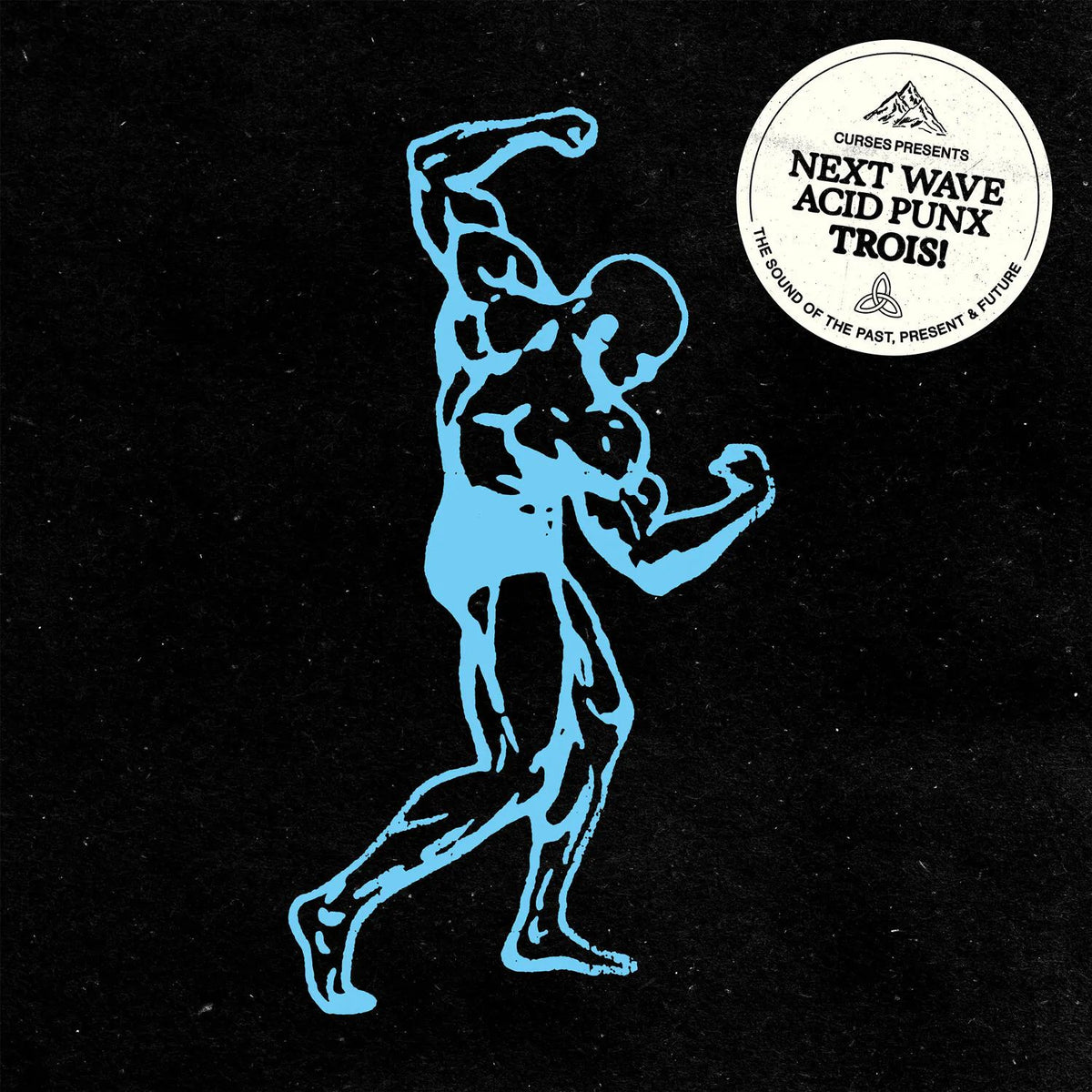 Various Artists - Curses pres. Next Wave Acid Punx Trois