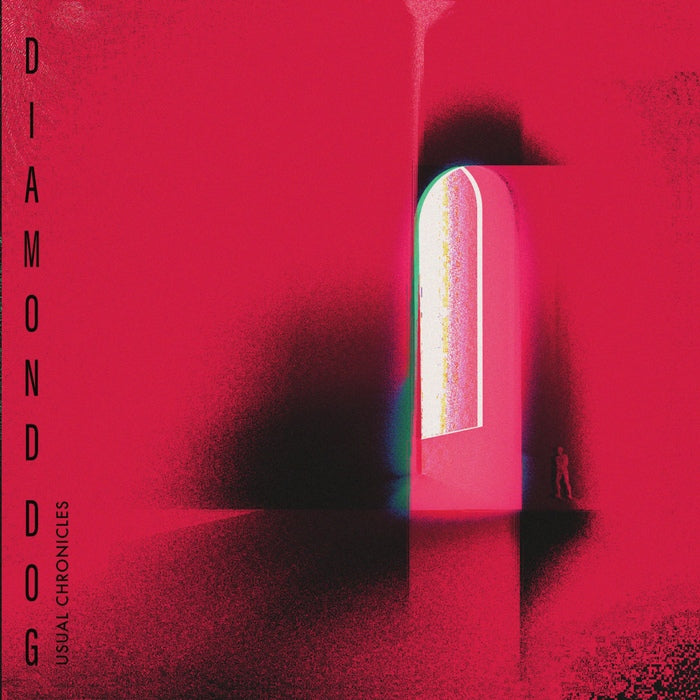 Diamond Dog - Usual Chronicles
