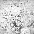 Dogs In Trees - Echo