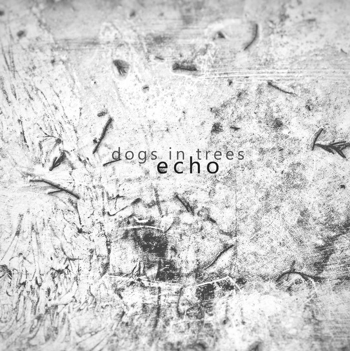 Dogs In Trees - Echo