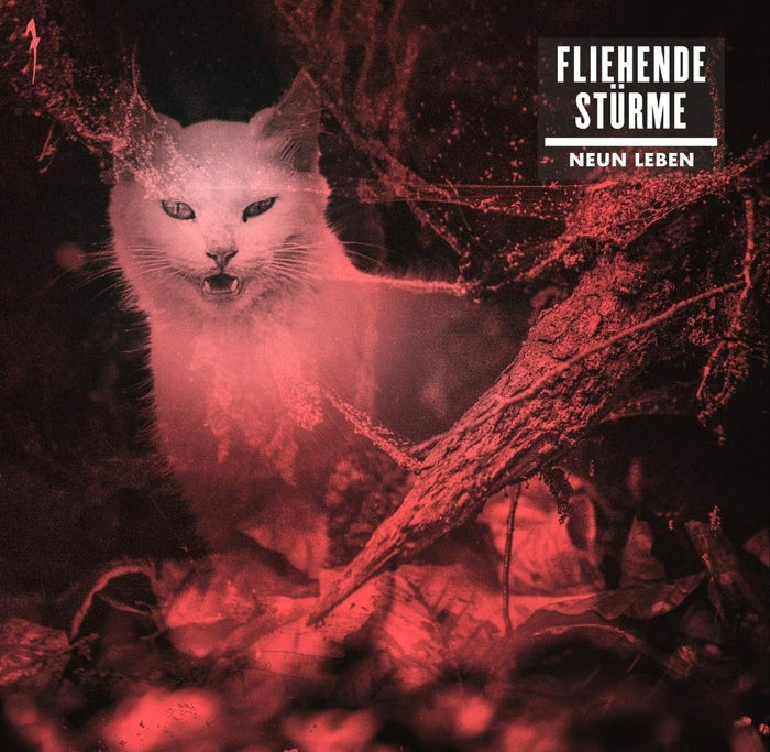 Fleeting Storms - Nine Lives