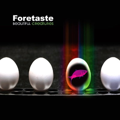 Foretaste - Beautiful Creatures / ReRelease