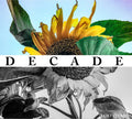 Lost On Me - Decade / Limited Edition