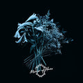 Mirror Of Haze - The End Is The Beginning