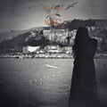 Noyce TM - Love Ends