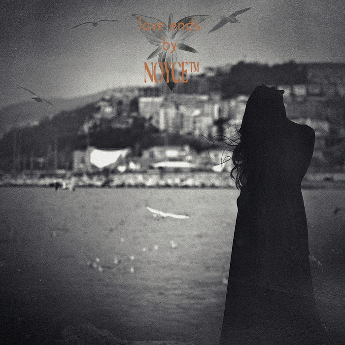 Noyce TM - Love Ends