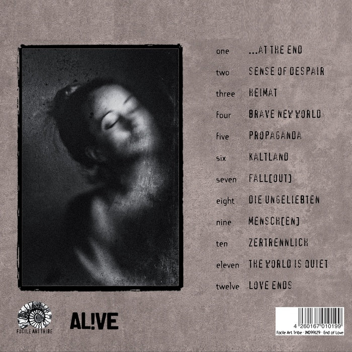 Noyce TM - Love Ends