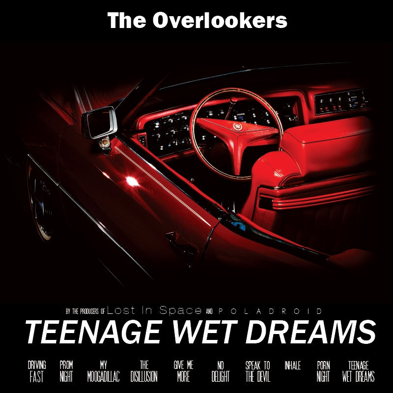 The Overlookers - Teenage Wet Dreams