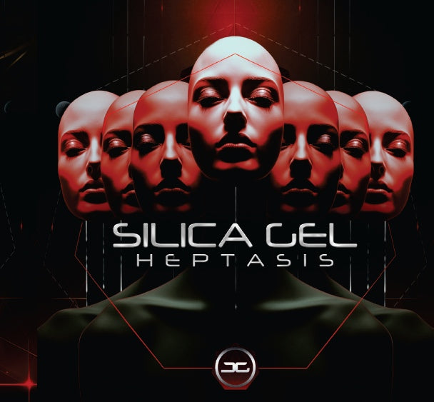 Silica Gel - Heptasis