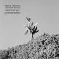 Sylvain Chauveau - Down to the Bone [an acoustic Tribute to Depeche Mode]