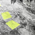 Winter Severity Index - Disgelo / Limited Transparent Vinyl