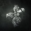 Your Life On Hold - Echoes from the Bardo