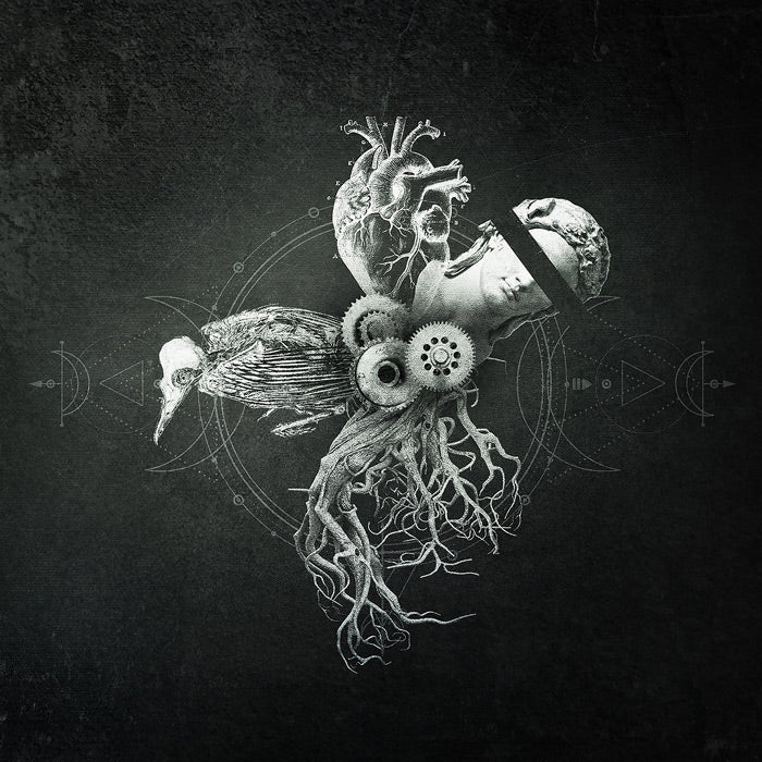 Your Life On Hold - Echoes from the Bardo
