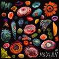 Medejin - The Garden (CD)